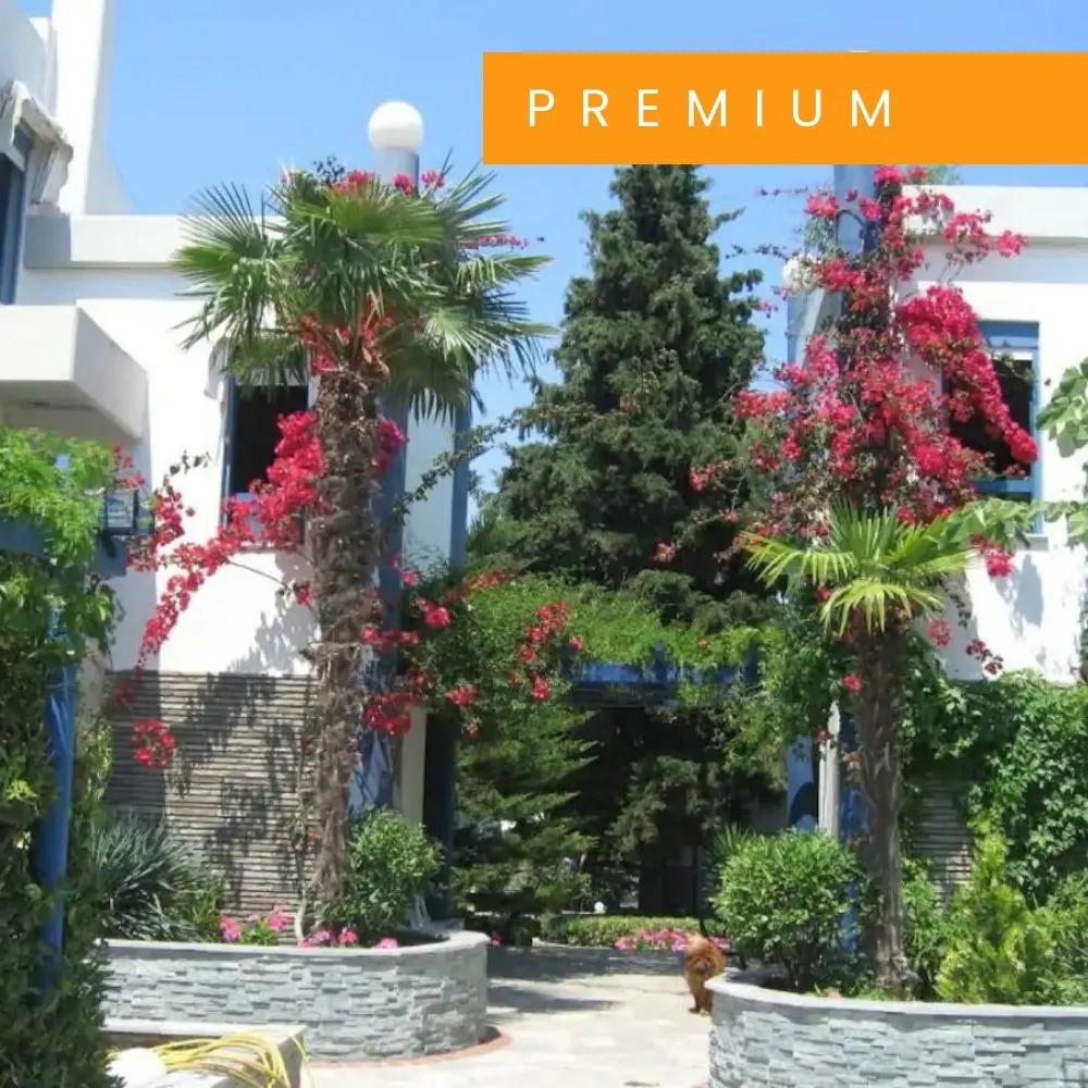 Modern residence premium